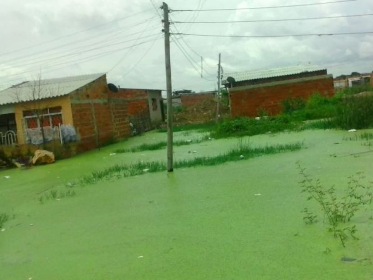 Por inviable ordenan liquidación de la autoridad ambiental en Barranquilla