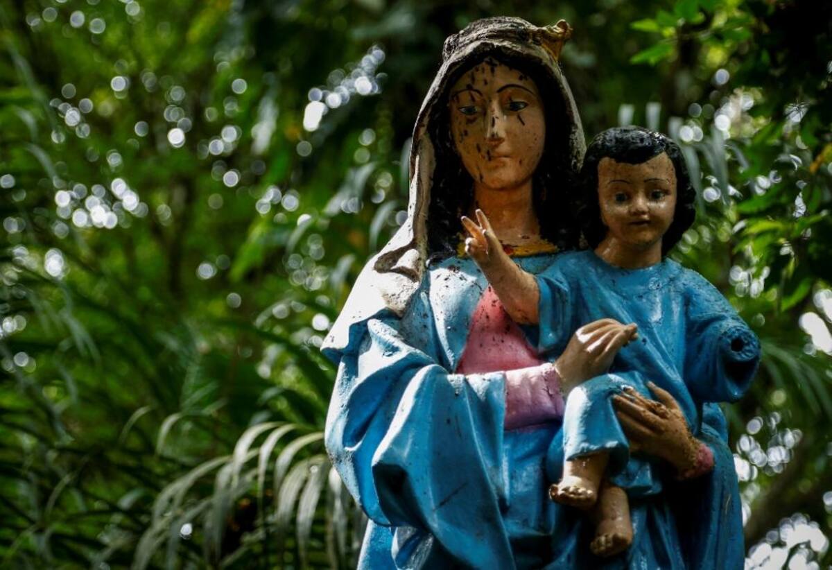 La naturaleza reclama su territorio y se instala en las ruinas de lo que alguna vez fue un temido lugar de reclusión en el Pacífico colombiano.