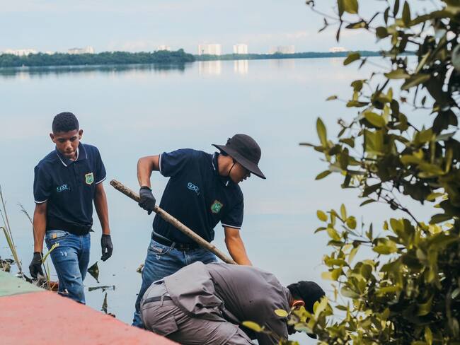 Alcaldía de Cartagena adelantó jornada ambiental en la Ciénaga de La Virgen