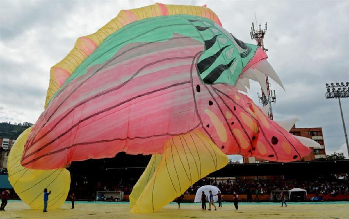 El cielo colombiano lo surcaron cocodrilos, colibrís, monos, rostros indígenas y orquídeas, entre otros, para abrir un espectáculo lleno de magia que durante más de seis horas emocionó a los asistentes, pese a la dificultad que representó la lluvia.