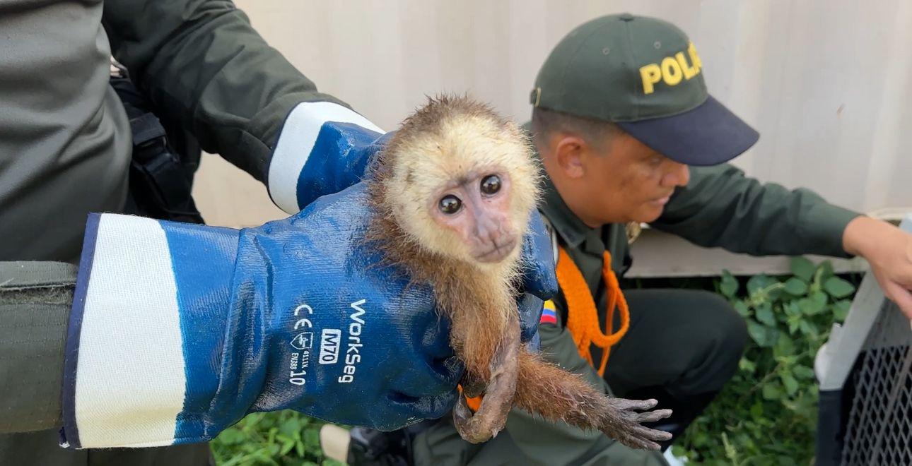 Departamento de Policía Bolívar