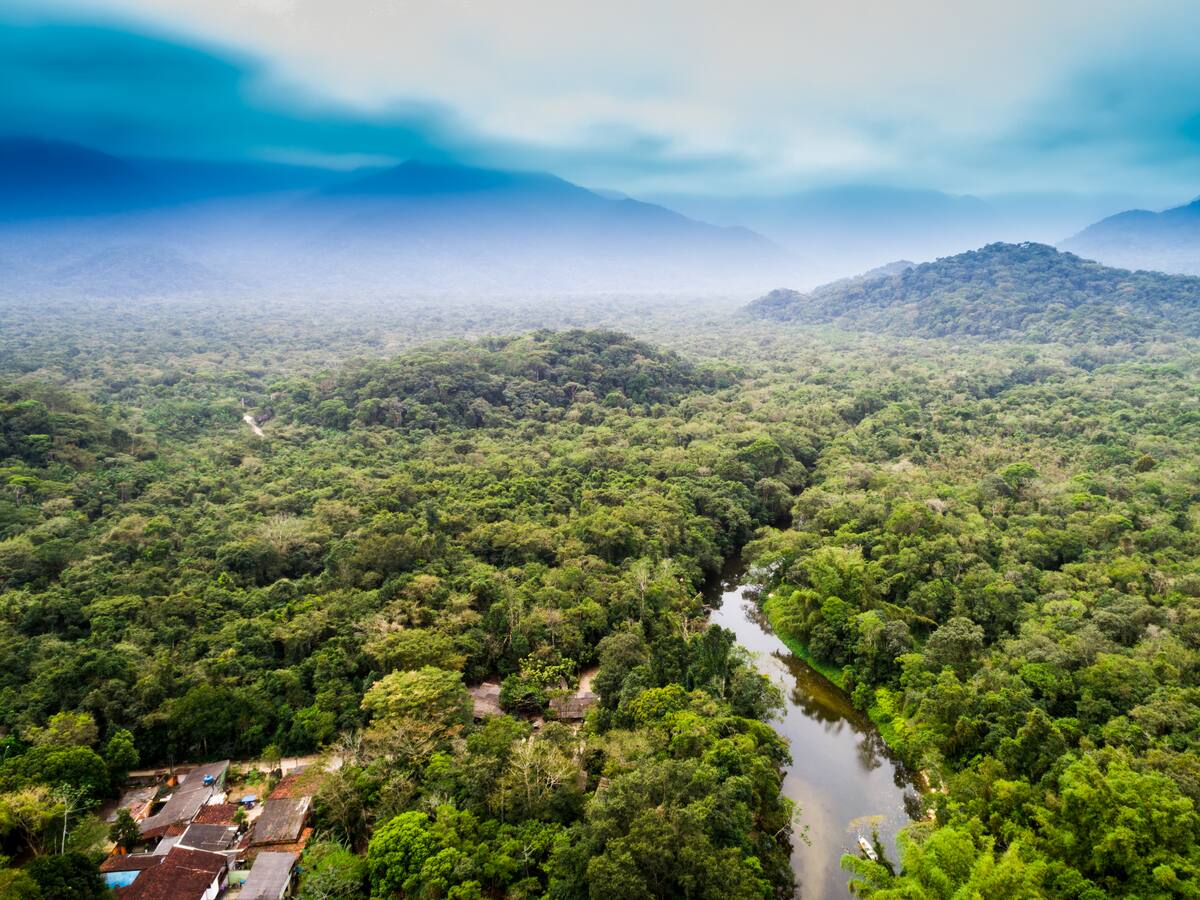¿Cuáles son los aciertos y vacíos del PND frente a la Amazonía?