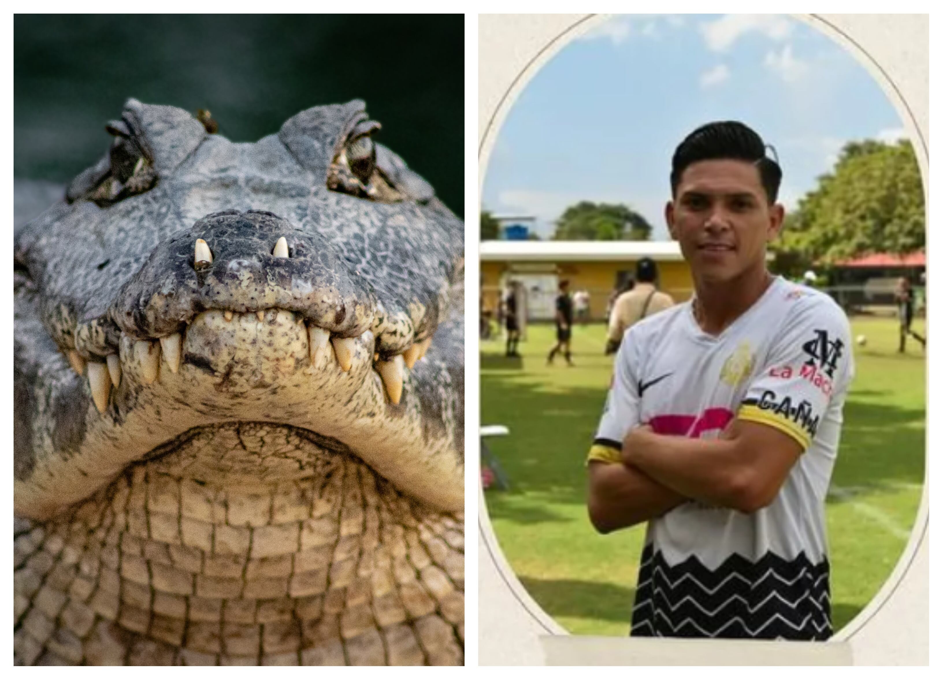 Cocodrilo mata a jugador de fútbol en Costa Rica. Foto: Getty Images / Redes Sociales