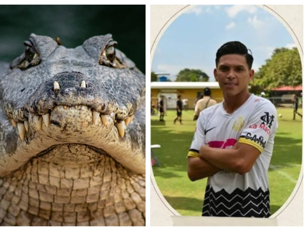 Cocodrilo mata a jugador de fútbol en Costa Rica