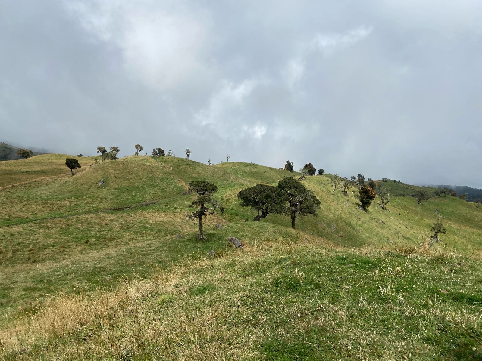 Fotografía Caracol Radio