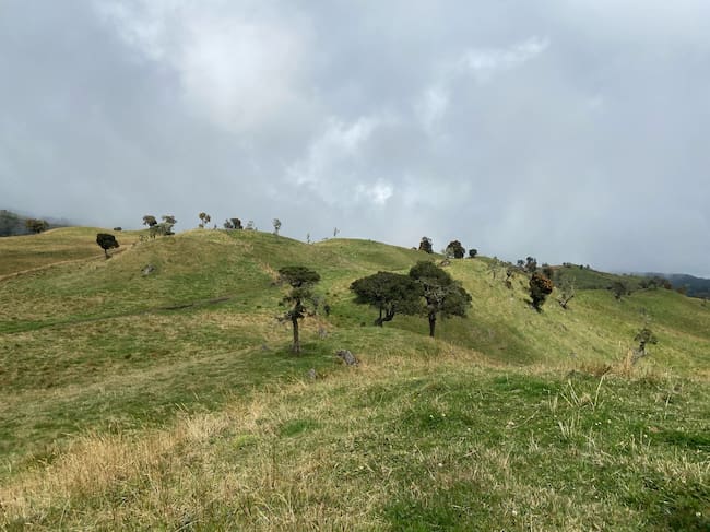 Fotografía Caracol Radio