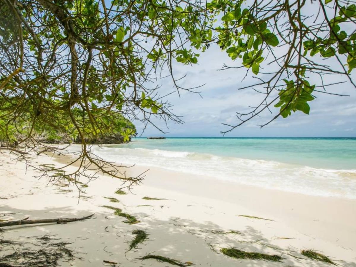 Gobierno buscará terminación de contratos de arrendamiento en Islas del Rosario