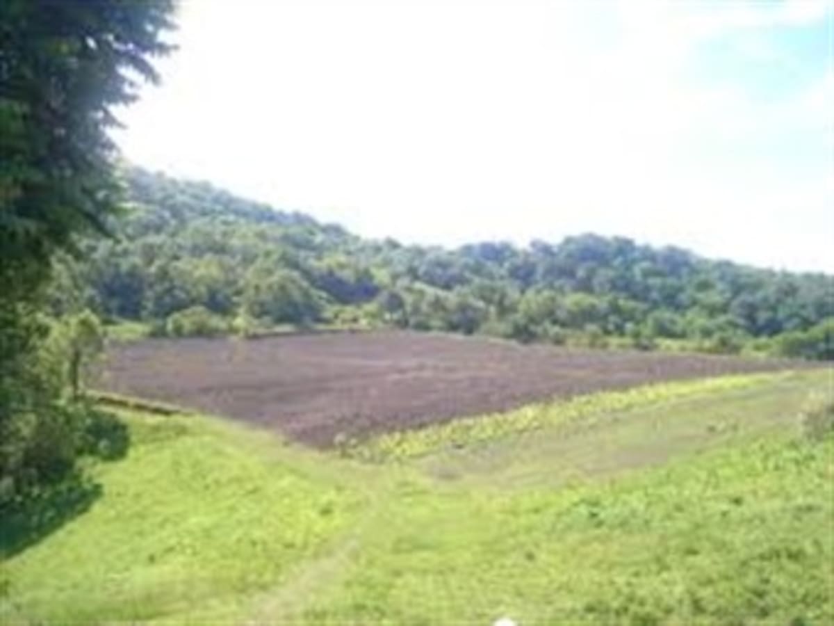Tribunal Superior de Cartagena ordenó devolver tierra a víctimas de masacre de Pechelín