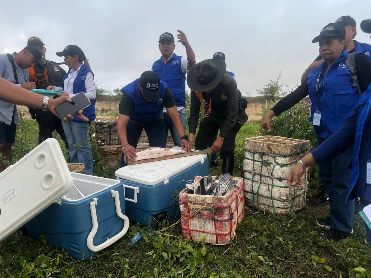 Policía de Bolívar intensifica operativos de control para garantizar la venta de pescado seguro dura