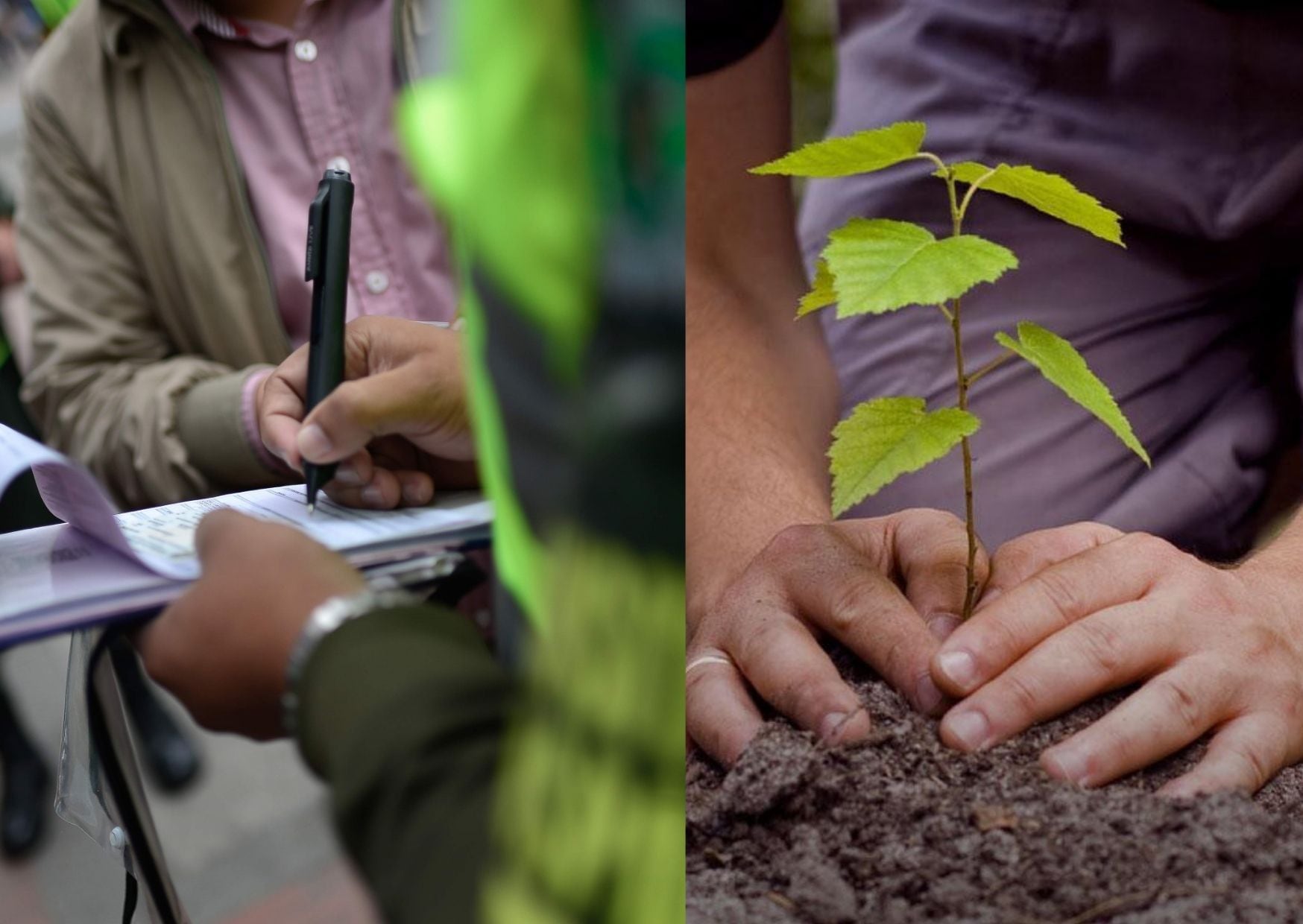 Comparendos en Bogotá podrán ser pagados con trabajo comunitario.