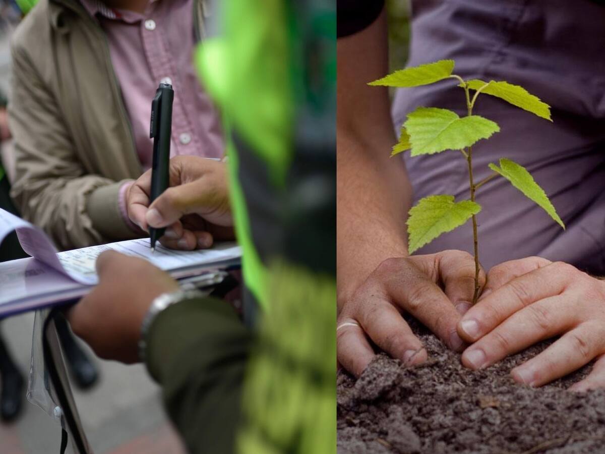 ¿Cómo quedar a ‘paz y salvo’ de comparendos sin pagarlos?: Así puede inscribirse
