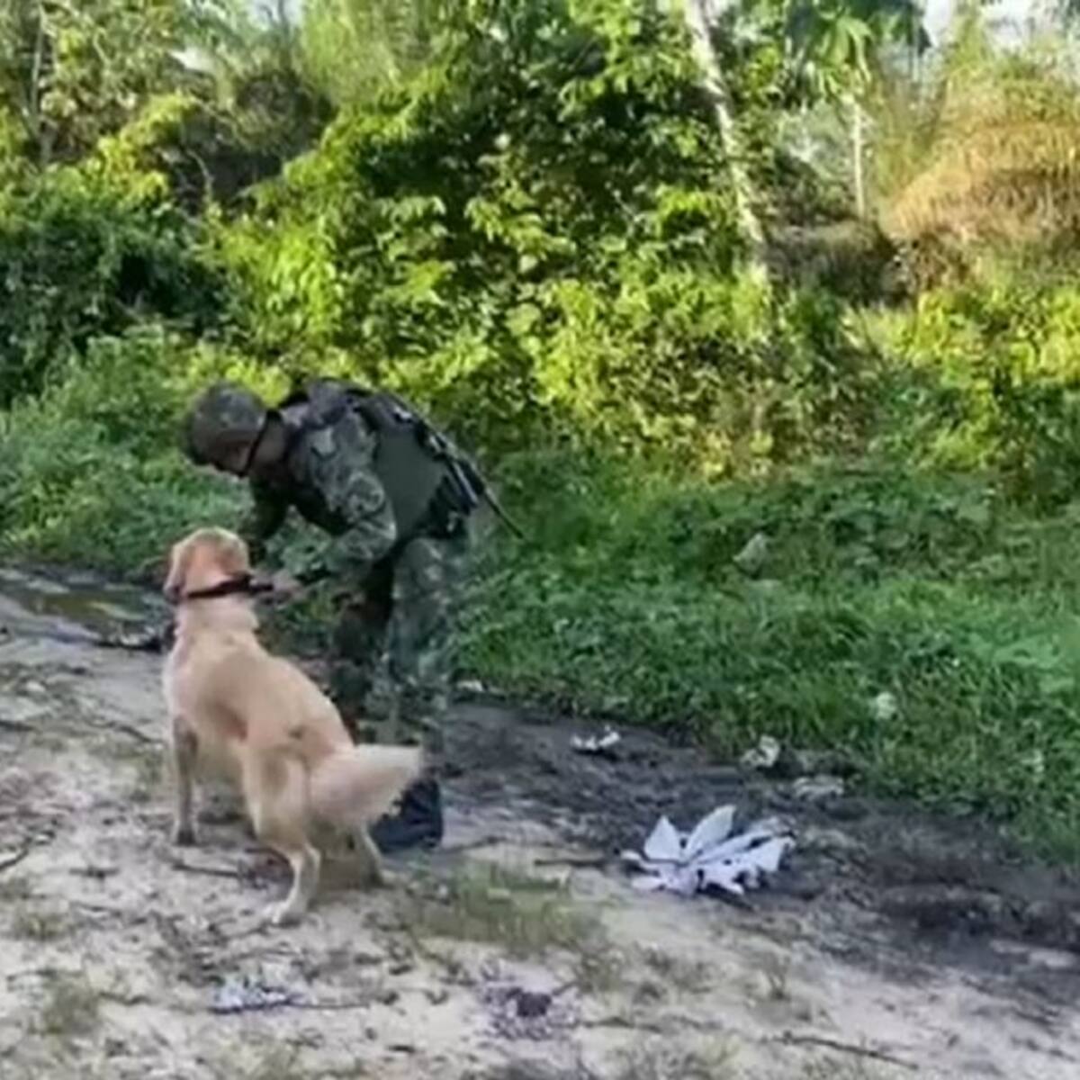 Encuentran bomba que el Clan del Golfo iba a utilizar contra la policía