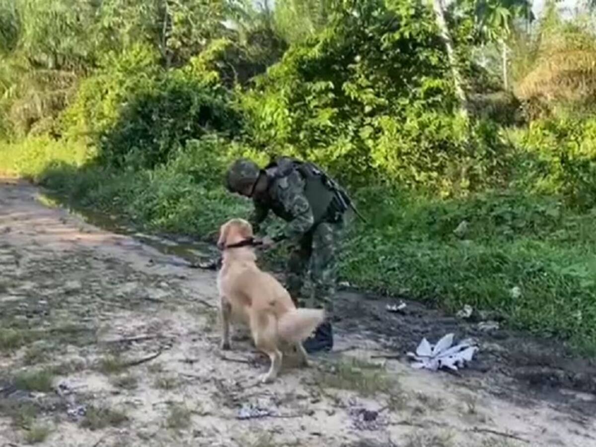 Encuentran bomba que el Clan del Golfo iba a utilizar contra la policía