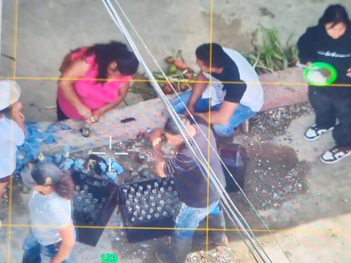 Imágenes captadas por inteligencia revelan cómo disidencias preparan bombas molotov en el Cauca