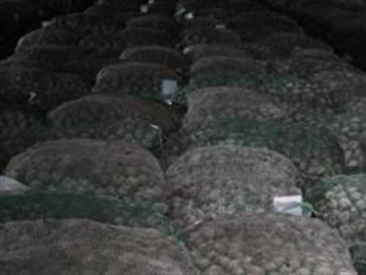 Incrementos del 80 por ciento en precios de alimentos por paro agrario en Caldas