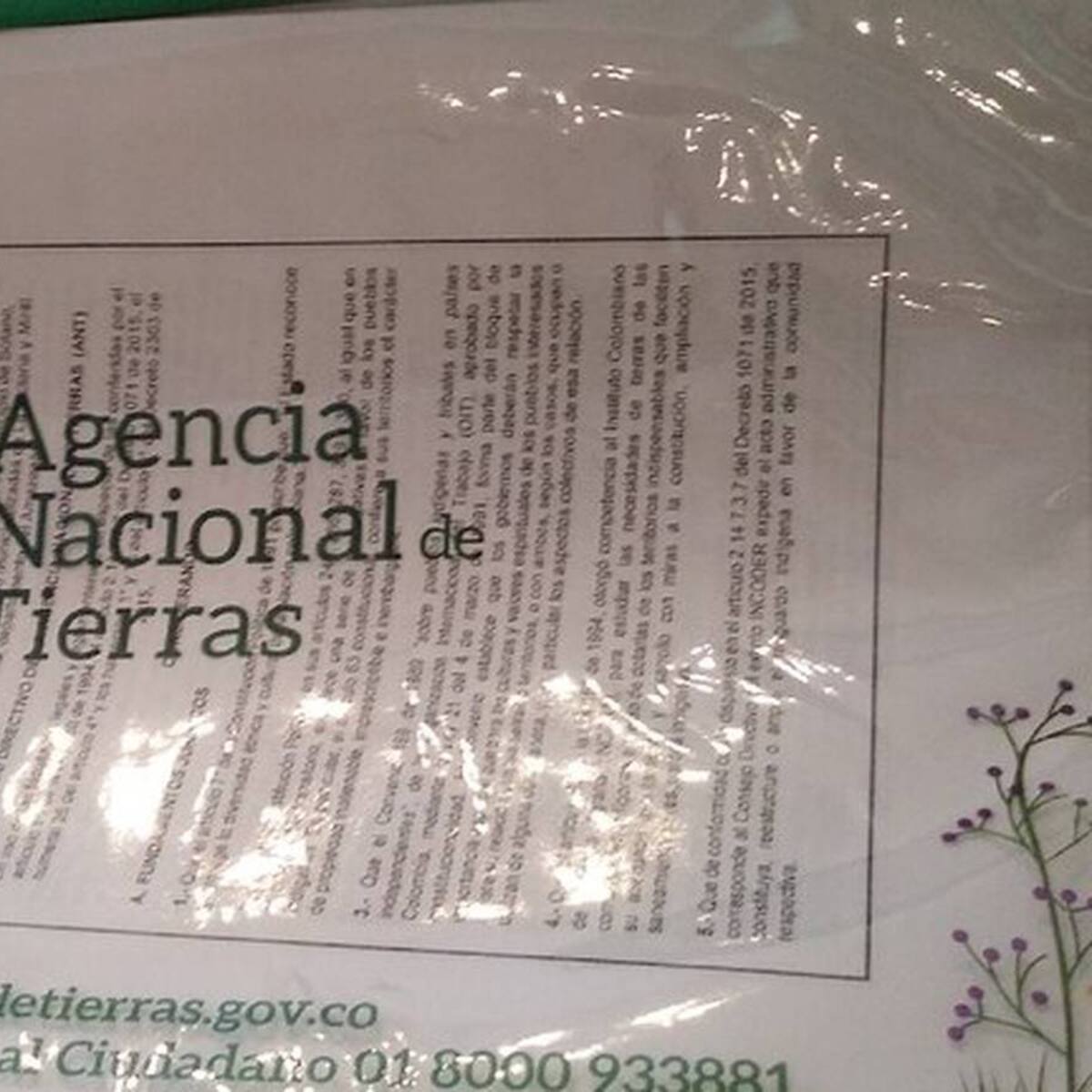 100 Denuncias por estafas ha recibido la Agencia Nacional de Tierras, ocho en el Quindío