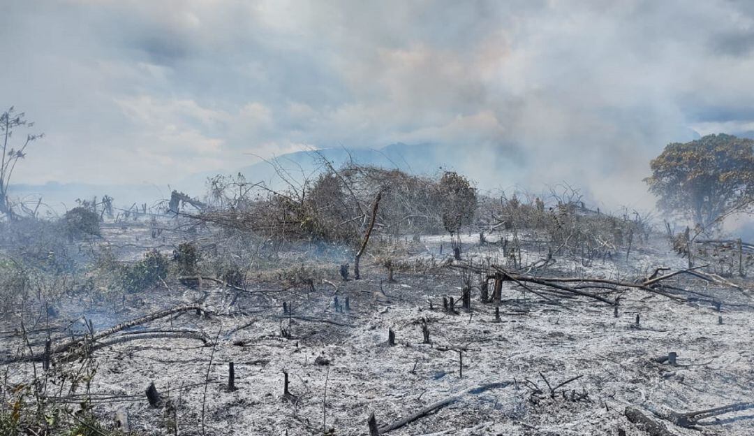20 municipios del Huila en alerta por incendios forestales