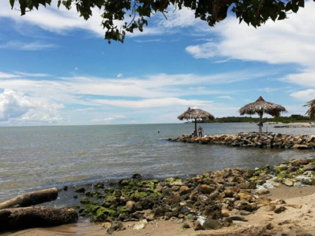 Manglares y arrecifes respiran en medio de la cuarentena