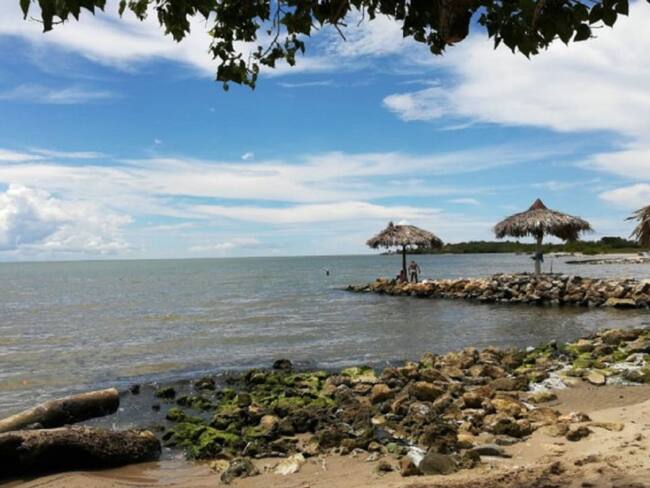 Manglares y arrecifes respiran en medio de la cuarentena