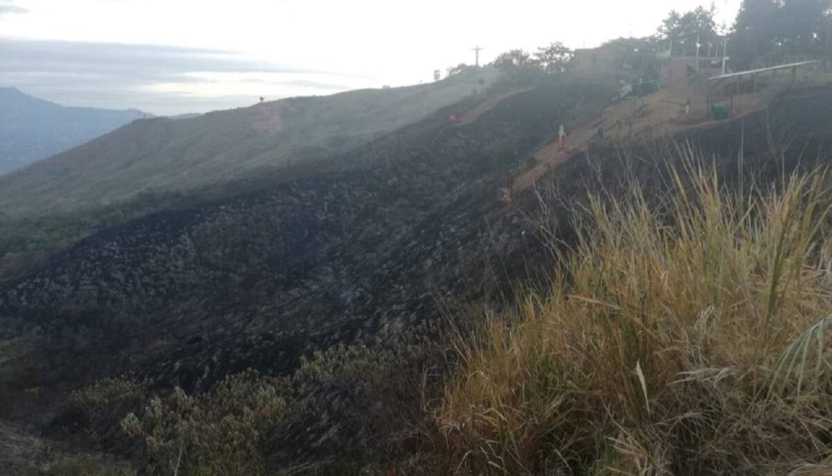 Cerro de Cristo Rey, luego del incendio forestal