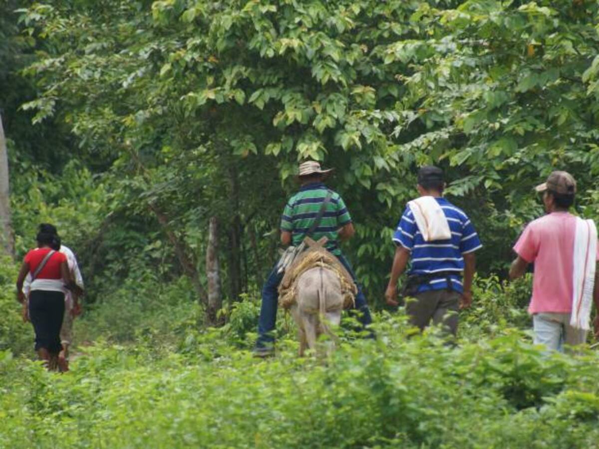 Defensoría atiende desplazamiento masivo en Antioquia