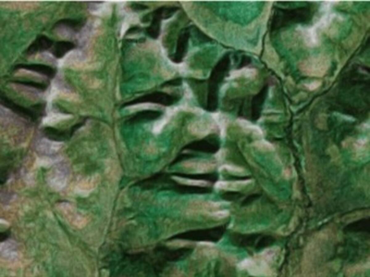 ¿Por qué vemos caras en la Luna, las montañas y las tostadas?