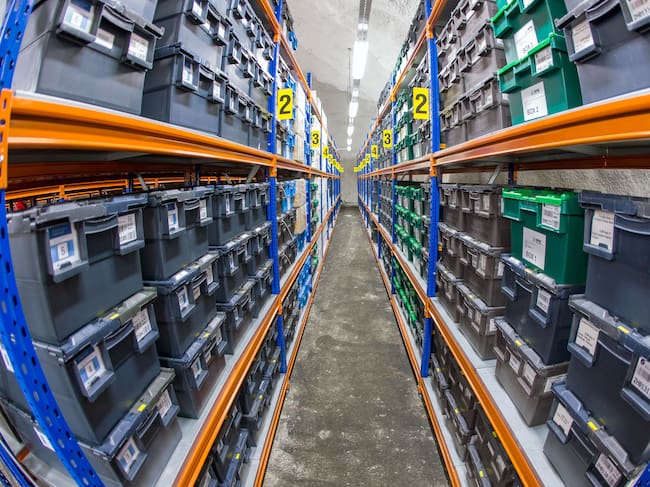 Así son las plantas en donde se almacenan las semillas en la Bóveda. Foto: Getty Images.