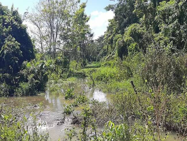 Foto: Cultivos perdidos por lluvias. Referencia.