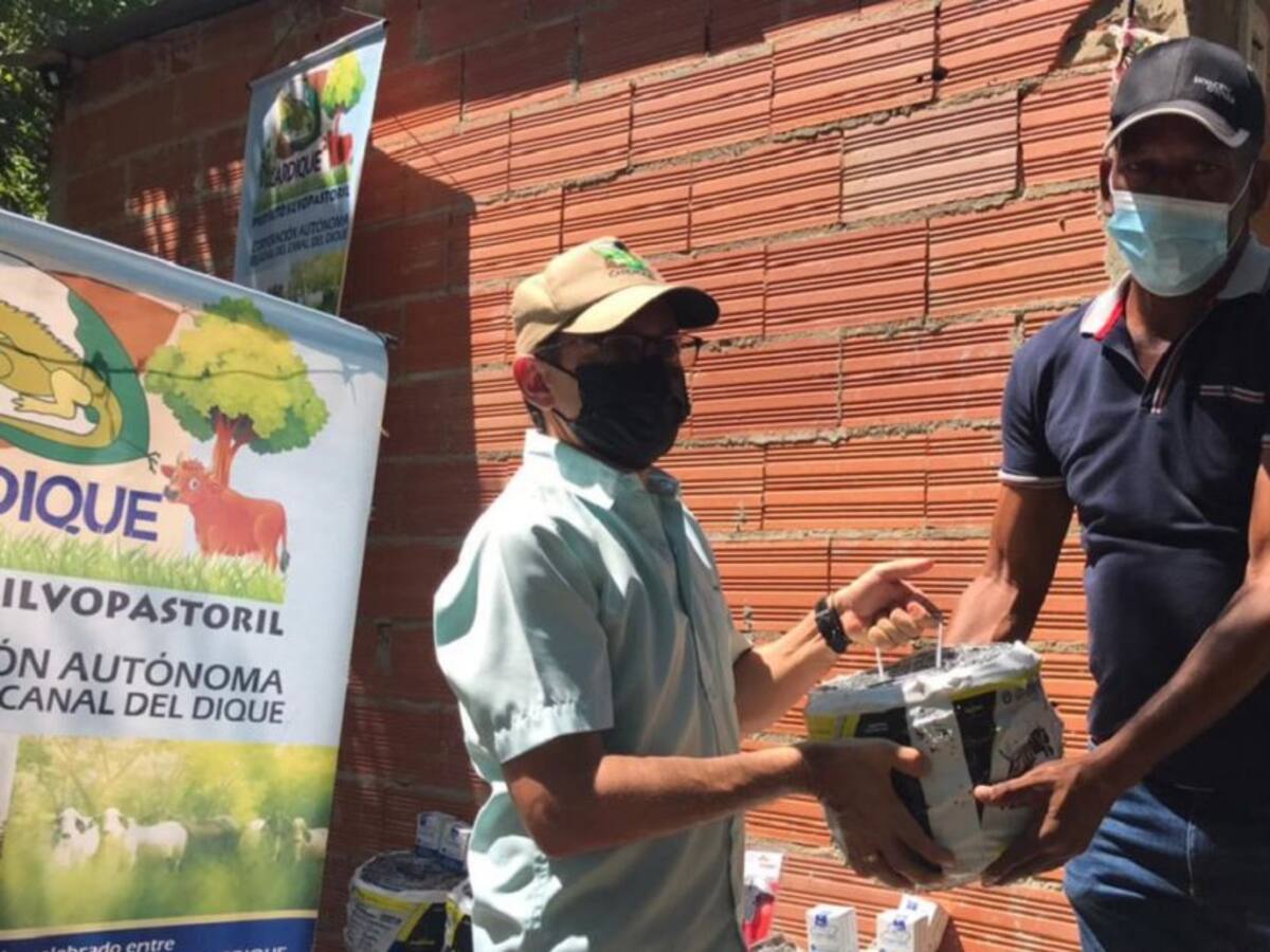 Cardique entregó insumos a productores ganaderos de Arroyohondo, Bolívar