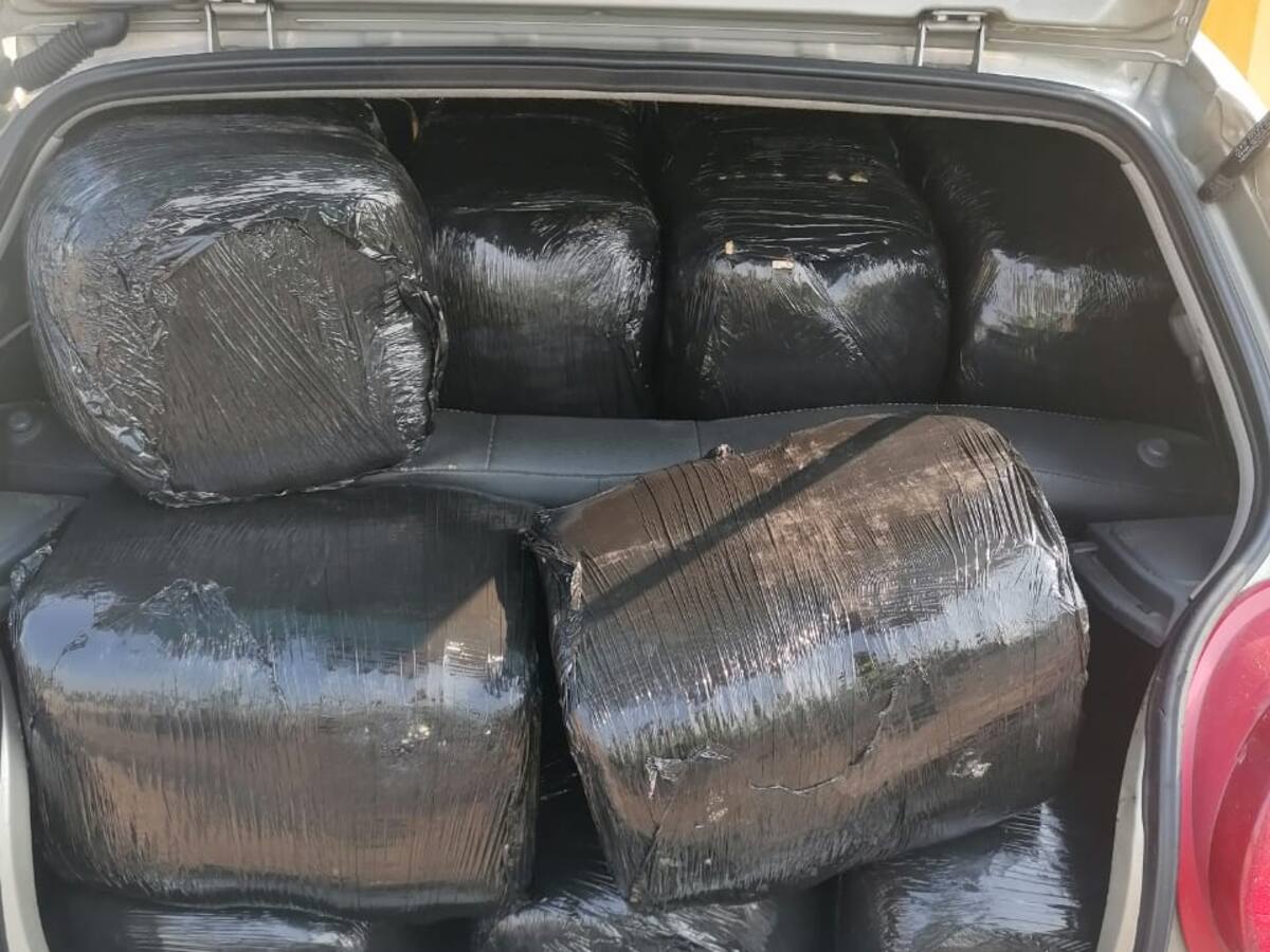 Detectan nuevo cargamento de marihuana en vías del Tolima