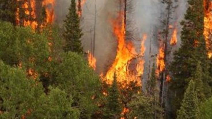 Alerta en Medellín por el incremento de incendios forestales