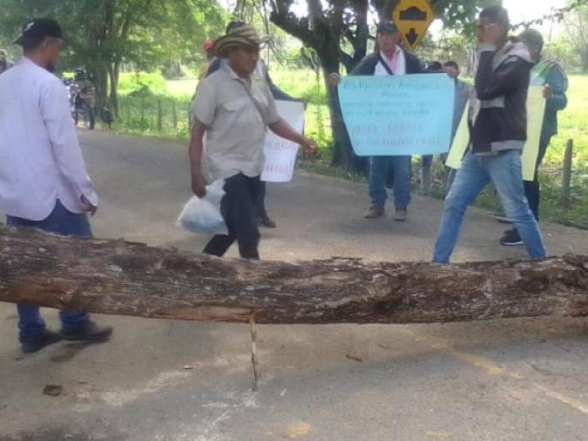 Arroceros del Huila, continúan en proceso de la resolución firmada con el gobierno nacional