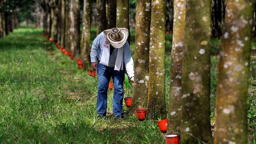 Para que puedan ser cambiadas las normas del Fondo, se debe tener un consenso entre la totalidad de los inversionistas. Foto: Colprensa