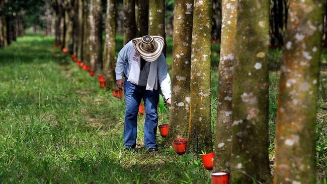 Para que puedan ser cambiadas las normas del Fondo, se debe tener un consenso entre la totalidad de los inversionistas. Foto: Colprensa