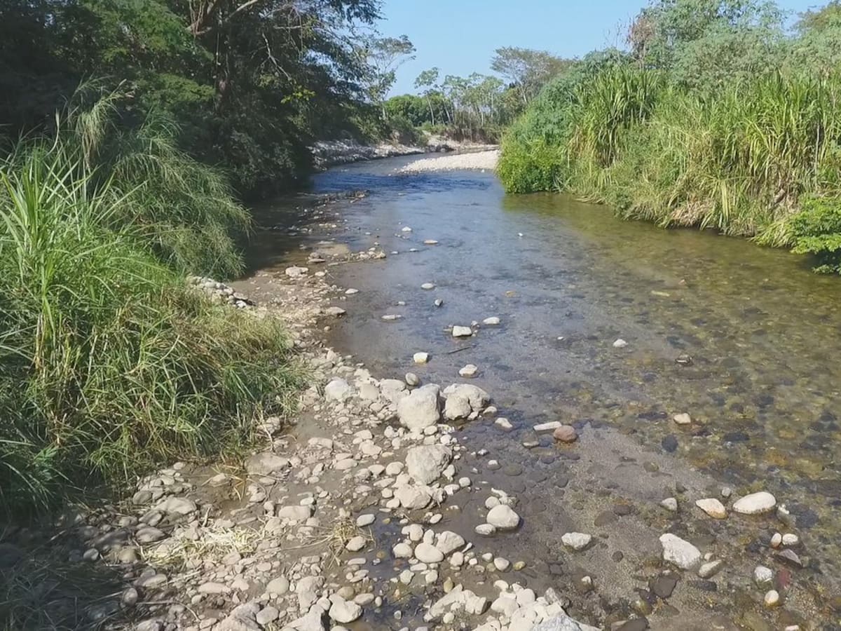 Minería ilegal estaría contaminando el río Cordóba, ¿cómo está el cuerpo hídrico?