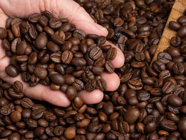 Persona con granos de café en su mano (Foto vía Getty Images)