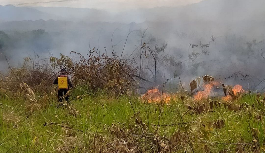 Las altas temperaturas y las quemas abiertas han generado el mayor número de estas conflagraciones. 