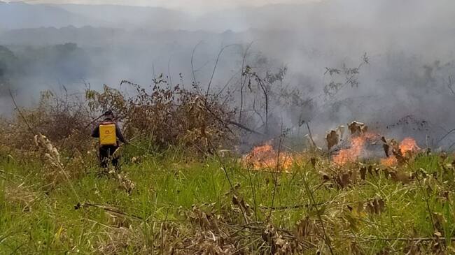 Las altas temperaturas y las quemas abiertas han generado el mayor número de estas conflagraciones.
