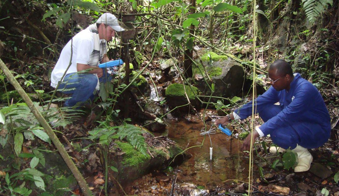 Corredores ribereños a los lados del cultivo de caña