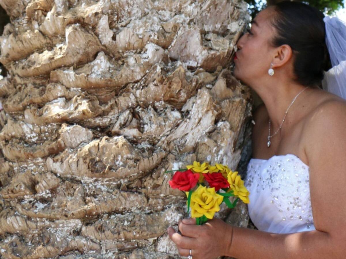 Mujer se "casa" con un árbol para evitar que lo talen