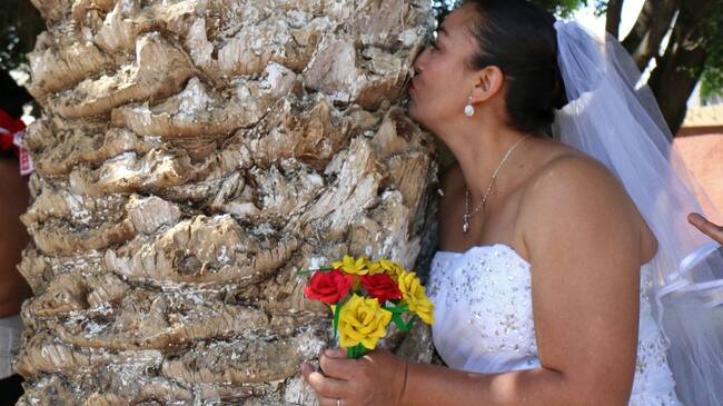 Imagen de referencia