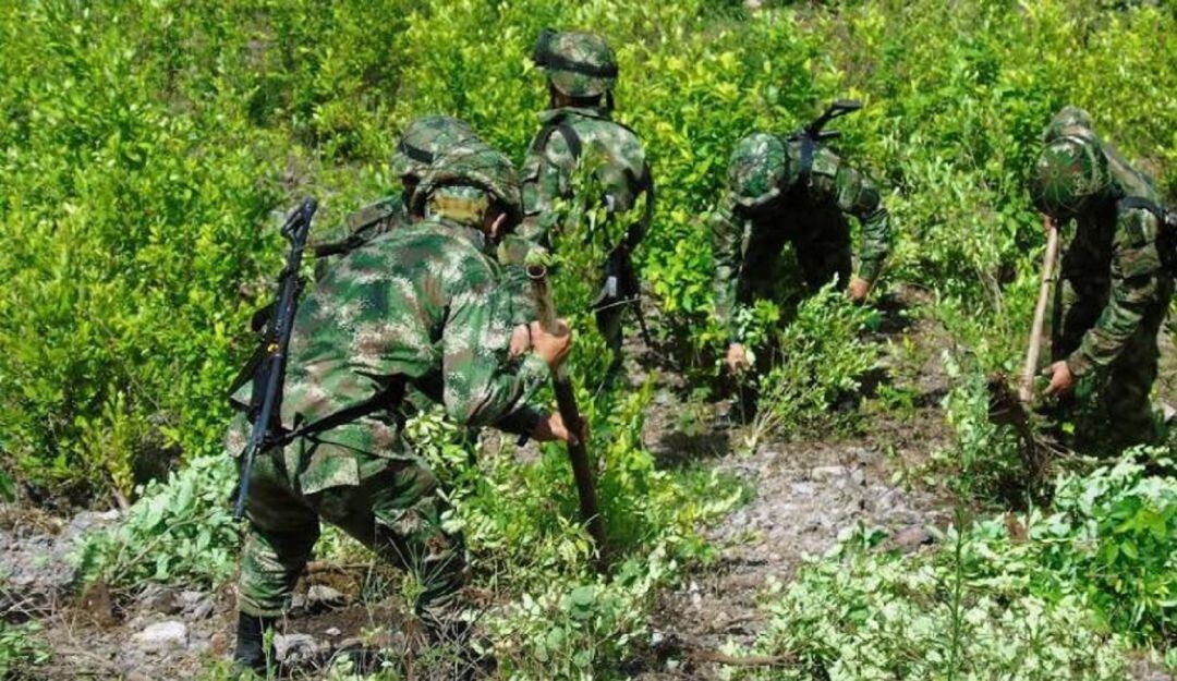 Autoridades acuerdan mesa de trabajo con los cultivadores de hoja de coca