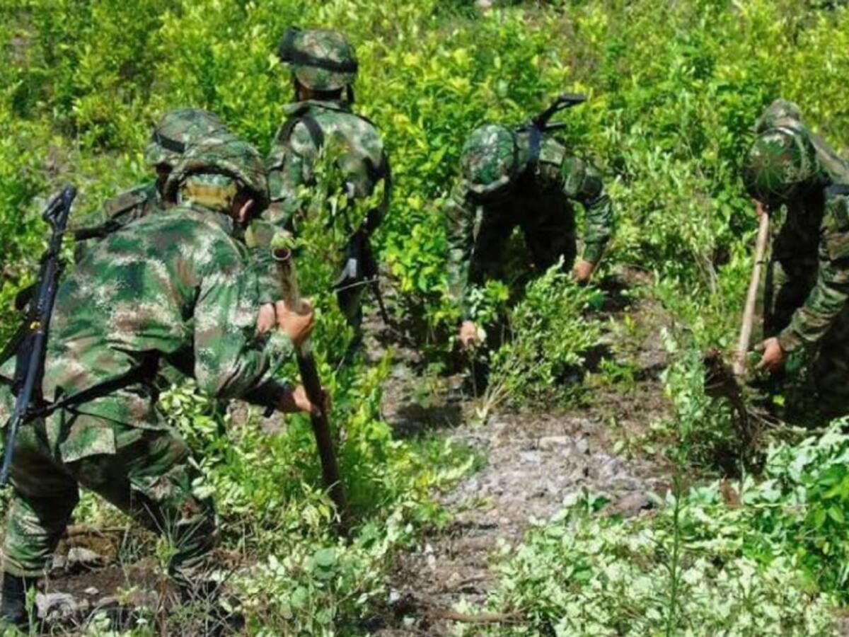 Autoridades acuerdan mesa de trabajo con los cultivadores de hoja de coca
