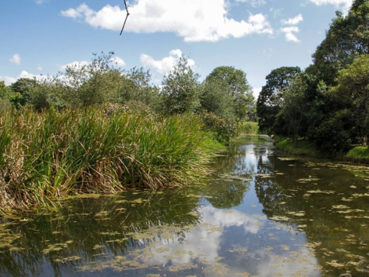 Posible construcción en el humedal El Chaparro