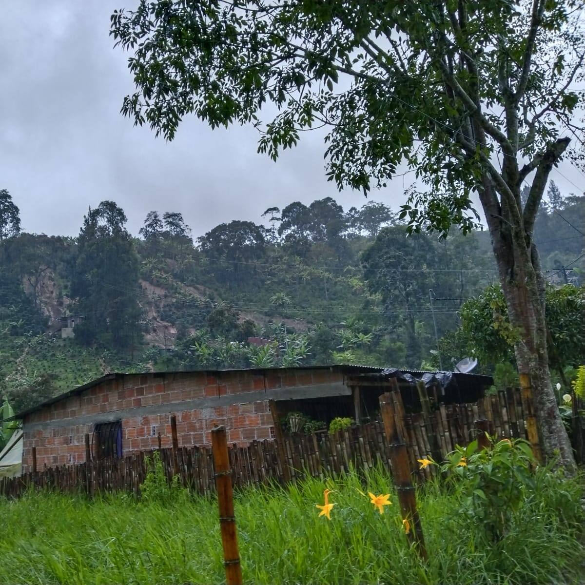 Adulto mayor pierde la vida y otro más se encuentra desaparecido en el Huila