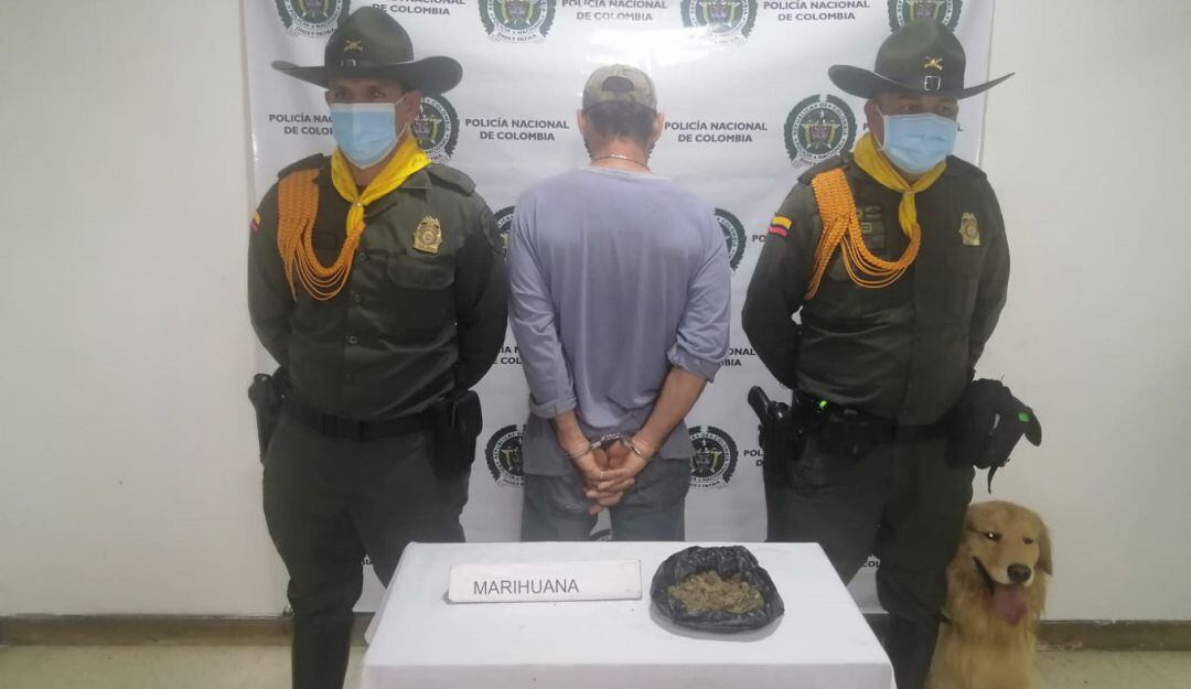 Incautación marihuana