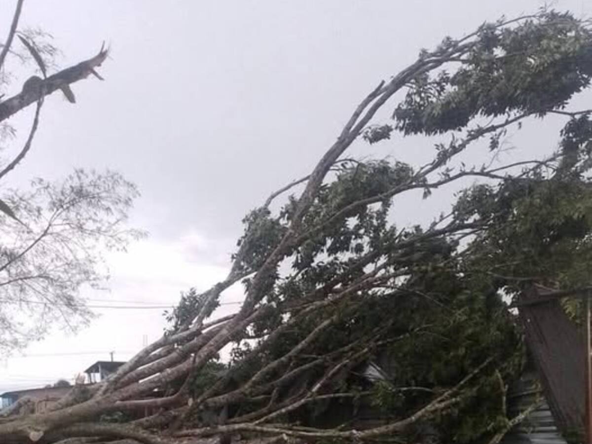 Tormenta dejó sin energía a miles de usuarios en Caquetá y Putumayo