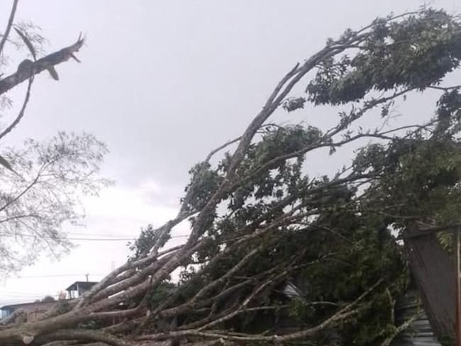 Cerca de 127.000 usuarios, alrededor del 20% sigue sin servicio. Foto Redes Sociales.