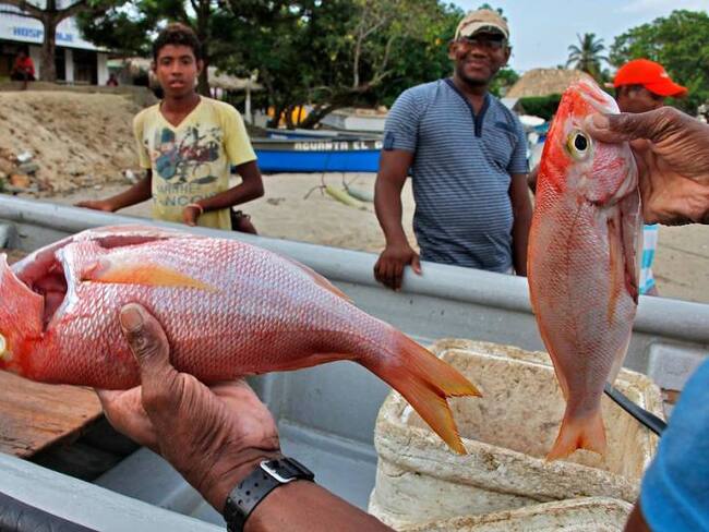 Gestionan recursos para darles la mano a los pescadores de La Dorada