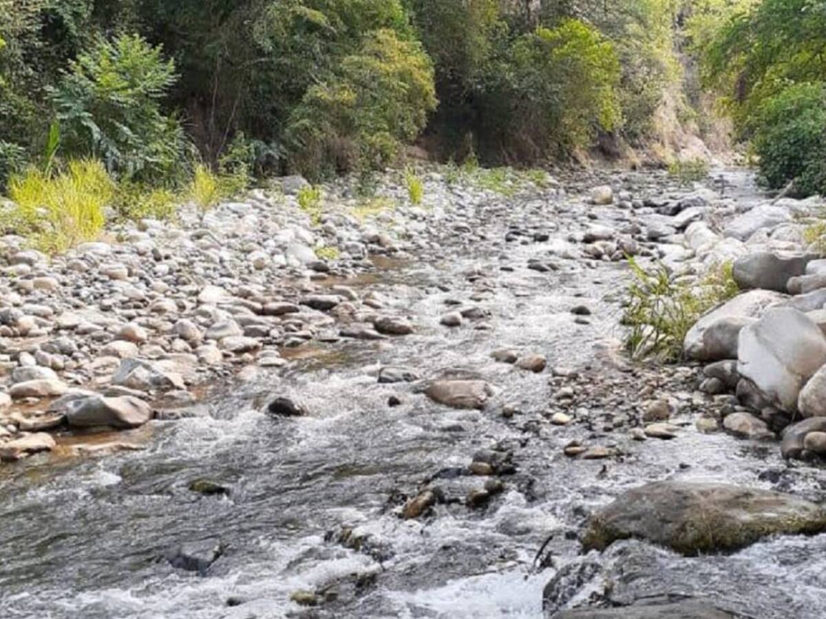 Verano afecta arroceros en el norte del Tolima